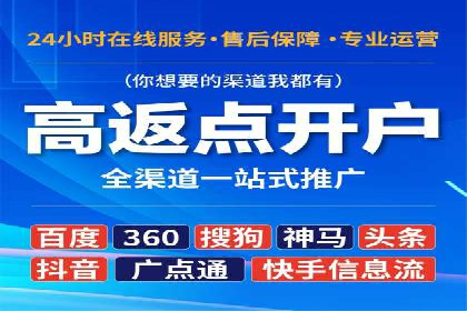 SEM竞价实战技巧，案例讲解与应用